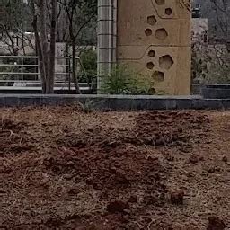 Bio Diversity Park - Park - Hyderabad - Telangana | Yappe.in