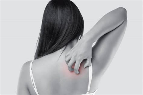 Image result for Intense Back Scratching