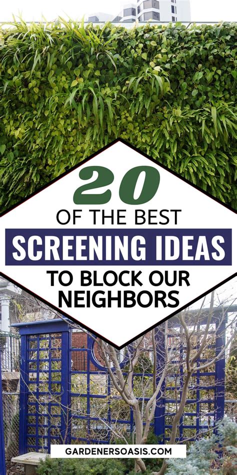 Backyard Privacy Ideas For Screening Neighbors Out | Privacy ...