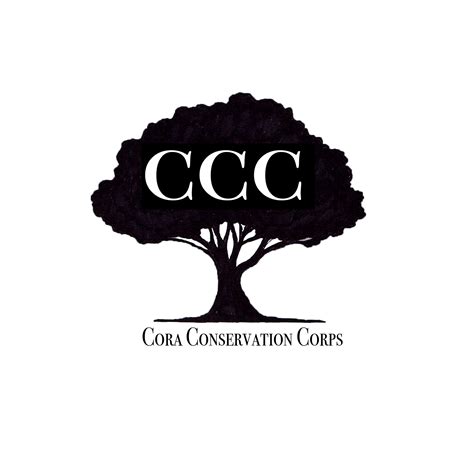 CCC Course Logo 的图像结果