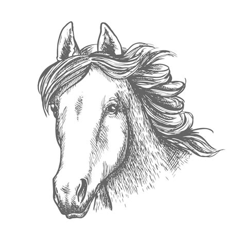 Horse engraving Images - Free Download on Freepik