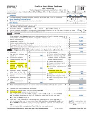 Fillable Online 2007 Form 1040 (Schedule C). Profit or Loss From ...