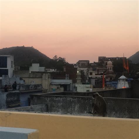 BHAVYAM HOMESTAY & CAFE BACKPACKER'S (Bundi, Rajasthan) - Guesthouse ...