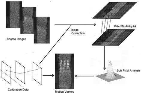 Image result for Algorithm Real Photo