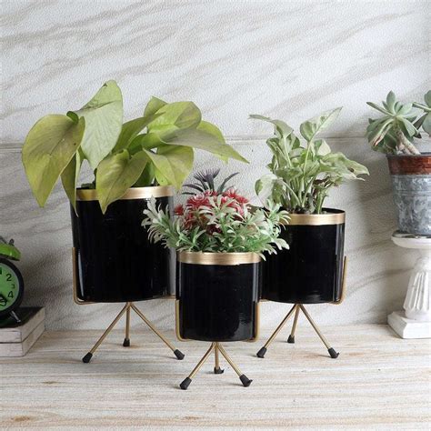 Planters | Shop for stylish and durable planters online – Writings On ...