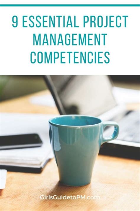 Image result for Project Management Competencies Examples