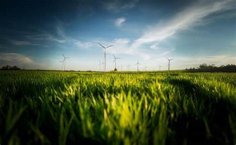 Image result for IFS Technical Analyst