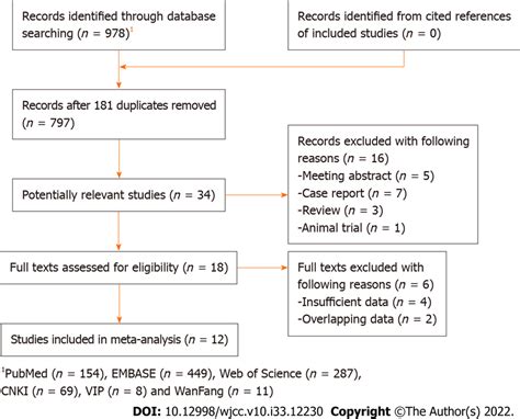 Meta-Analysis Definition 的图像结果