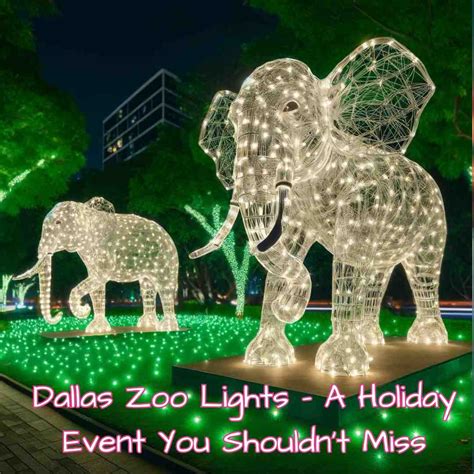 Dallas Zoo Lights – A Holiday Event You Shouldn’t Miss - Festival Of Lights