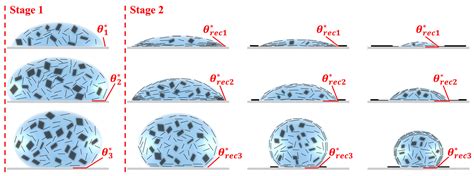 Drying and Film Formation Processes of Graphene Oxide Suspension on ...