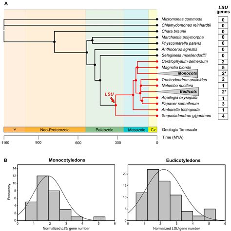 Evolutionary and Gene Expression Analyses Reveal New Insights into the ...