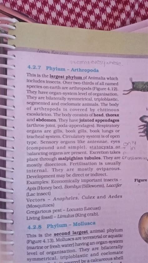 4.2.7 Phylum - Arthropoda This is the largest phylum of Animalia which in..