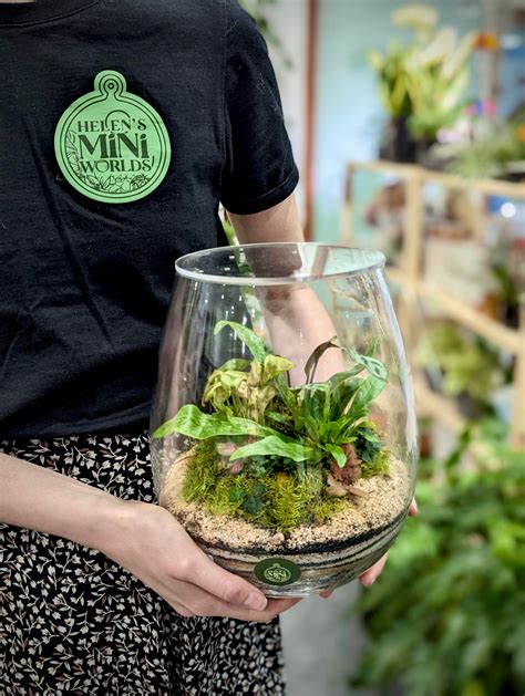 Beginner Closed Terrarium Workshop (Adults) | Helen's Mini Worlds
