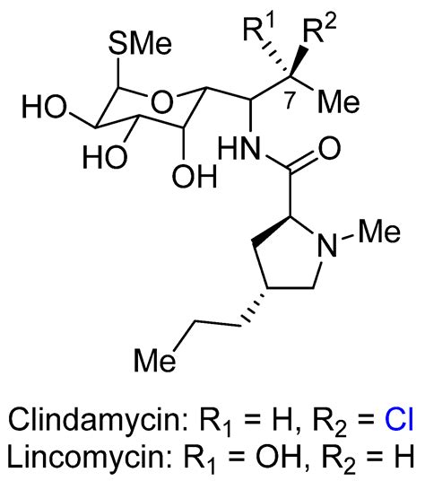 Chiral Alkyl Halides: Underexplored Motifs in Medicine
