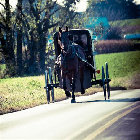 175+ Amazing Amish Names (Traditional and Biblical Boy and Girl Names ...