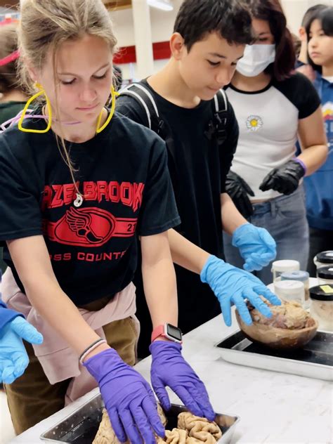 Events for August 2025 – NW NOGGIN: Neuroscience outreach group ...