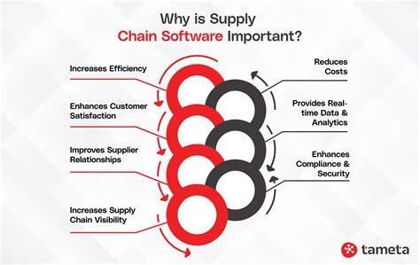 Supply Chain Management Software Development - Complete Guide