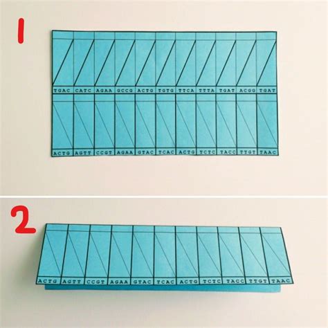 Image result for DNA Origami Applications