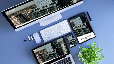 Image result for Web Design Development