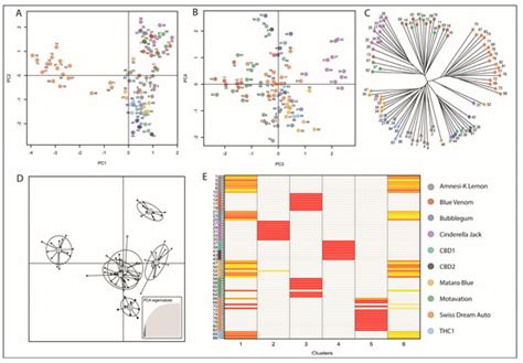 Genetic Variants Associated with Long-Terminal Repeats Can ...