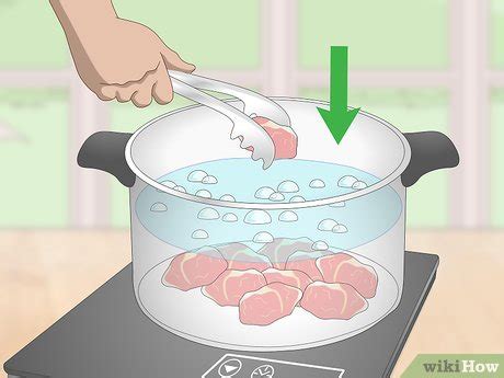 Image result for Cook Turtle