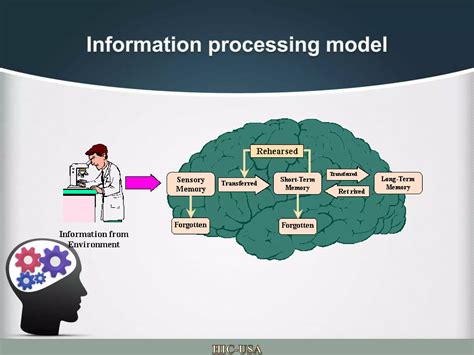 The Information Processing Model Three Memory Systems 的图像结果