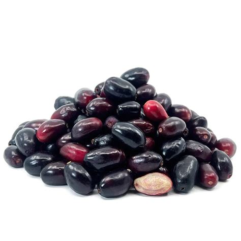Buy Jamun Tree Plant - Syzygium Cumini Plant online from Nursery Kart