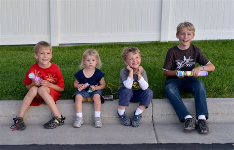 Image result for Firework Classes Explained