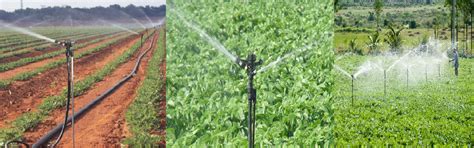 Pawan Polytex Pvt. Ltd. - Nandi Pipe - Sprinklers - Pipes - Drip | Home