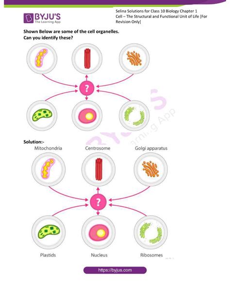 Class 10 Bio Chapter 1 的图像结果