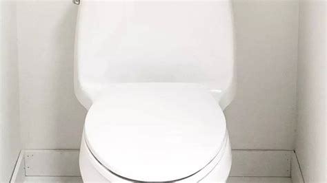 Flushing Toilet With Open Lid May Spread Germs Three Feet Up In Air