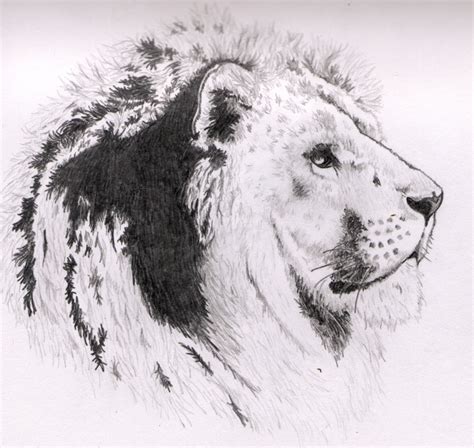 Lion Drawing Tutorial 的图像结果