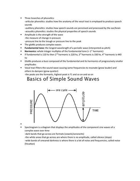 Acoustic phonetics - Professor Mark Wenthe - Three branches of phonetics: -articular phonetics ...