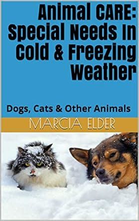 Animal CARE: Special Needs In Cold & Freezing Weather: Dogs, Cats ...
