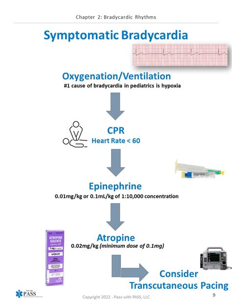 Image result for Pals Printable Algorithm Free