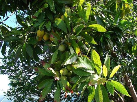 Image result for Machine Learning Science Projects