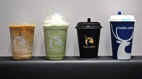 Image result for Luckin Pyramid Menu