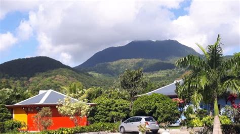 HABITATION CANTAMERLE (Guadeloupe, Caribbean) - Specialty Inn Reviews ...