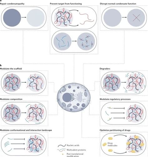 Process Body 的图像结果