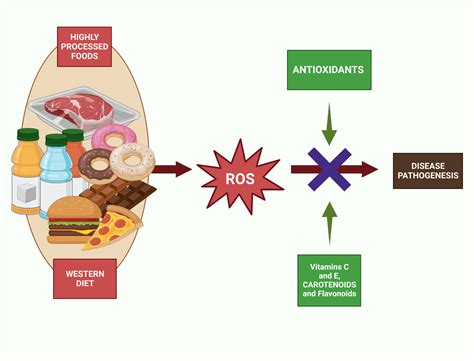 Global Impacts of Western Diet and Its Effects on Metabolism and Health ...