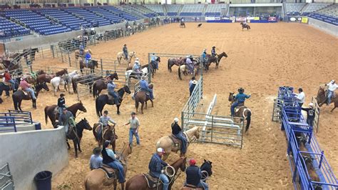 Roping Competition 的图像结果
