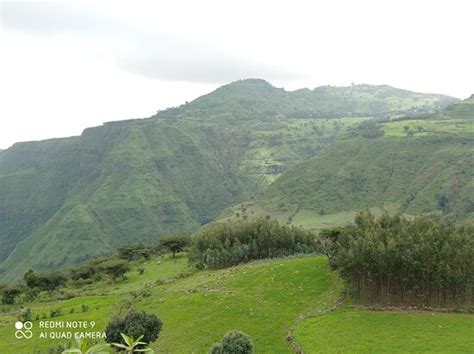 Simien View Tour & Travel (Gonder) - 2022 What to Know Before You Go ...