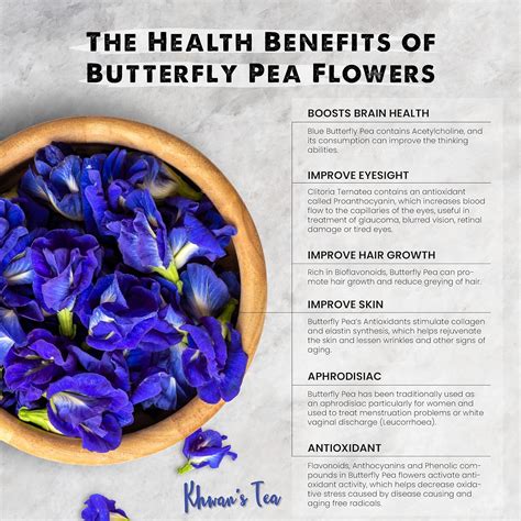 17 Incredible Blue Butterfly Pea Flower Tea Health Benefits - TeaFame