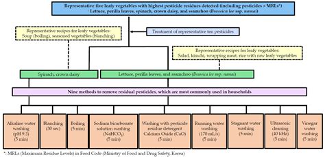 Effectiveness of Different Washing Strategies on Pesticide Residue Removal: The First ...