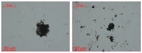 Coupling between Source Rock and Reservoir of Shale Gas in Wufeng ...