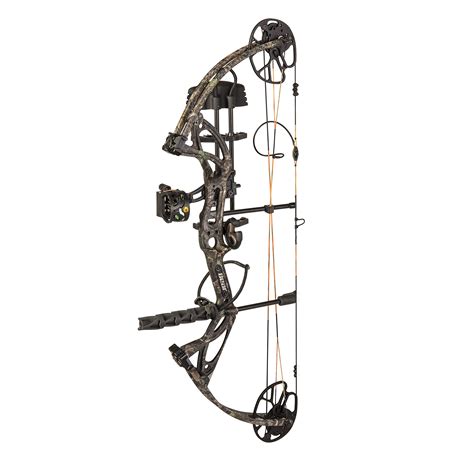 Best Compound Bows for Hunting and Archery in 2023
