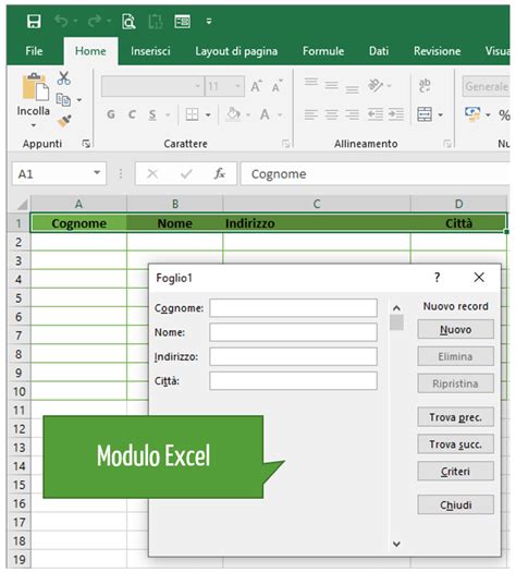 Image result for Modulo Visual Basic Excel