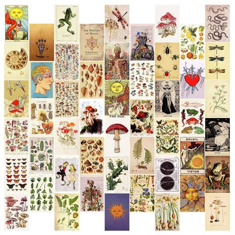 Buy HASTHIP® 50PCS s Vintage Wall Collage Kit Aesthetic Pictures ...