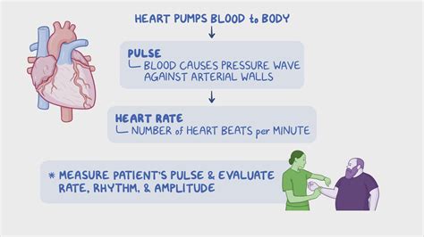 Testing Heart Rate 的图像结果