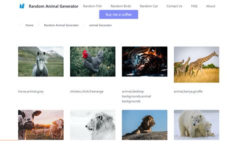 Image result for Random Animal Generator